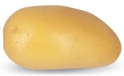 Насіннєва картопля Еммануель