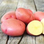 Насіннєва картопля Еволюшн