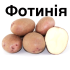 Семенной картофель Фотиния