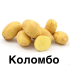 Семенной картофель Коломбо