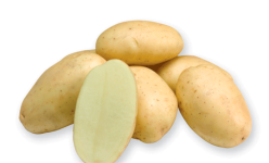 Насіннєва картопля Парадізо