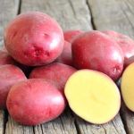 Насіннєва картопля Ред Скарлет